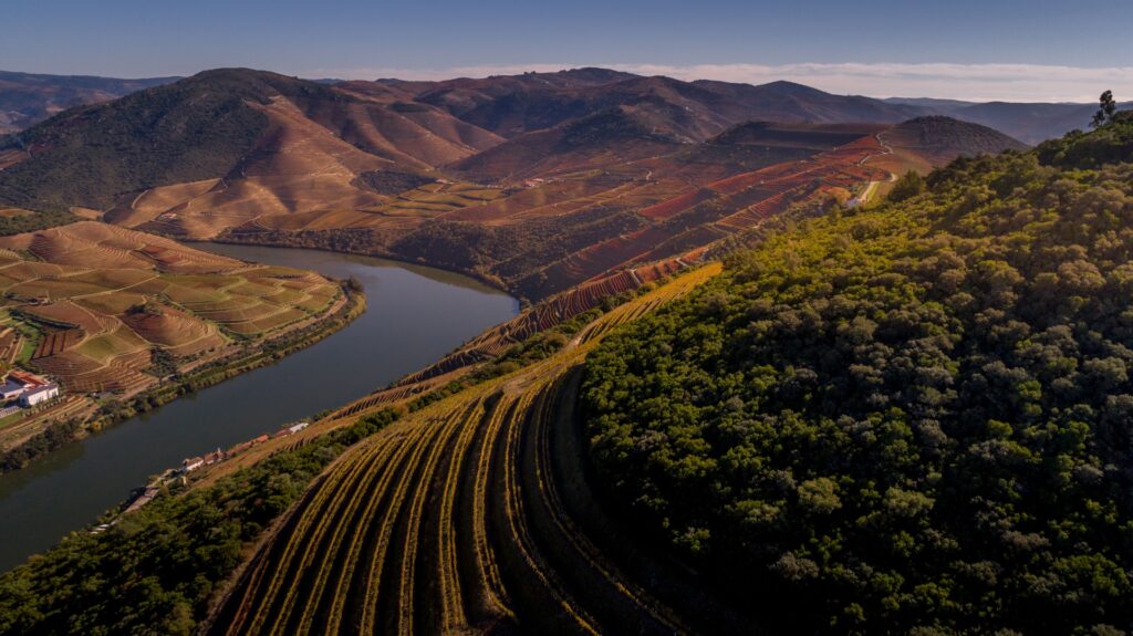 Quinta das Carvalhas (Douro) distinguida nos prémios ‘Best of Wine Tourism 2022’
