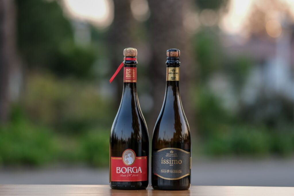 ‘Borga 2010’ e ‘Íssimo Baga-Bairrada 2016’ são os grandes vencedores do Concurso de Espumantes Bairrada 2021