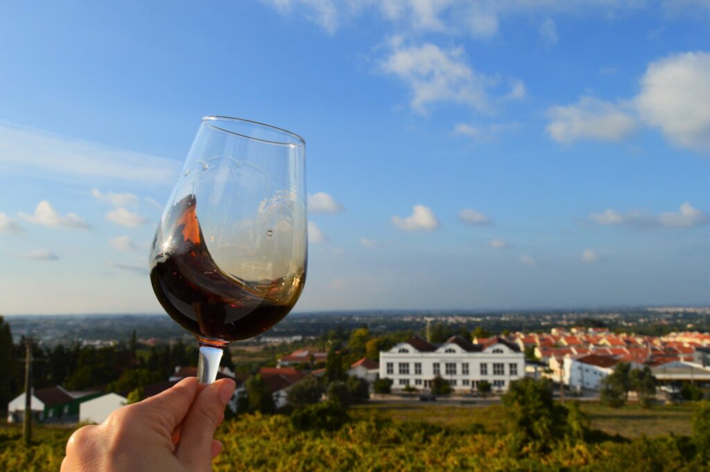 Quinta do Piloto revela segredos de Moscatéis raros e preciosos