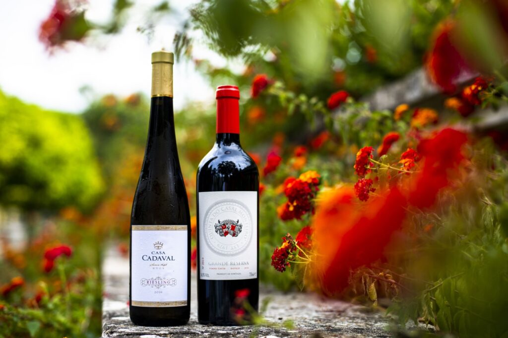 Melhores do vinho, gastronomia e promoção do território subiram ao palco da ‘Gala Vinhos do Tejo 2021’