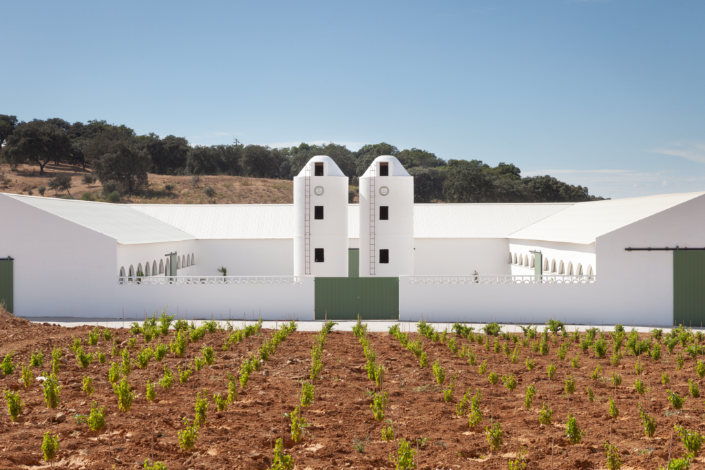 Herdade Aldeia de Cima vence prémio “Produtor Revelação do Ano”