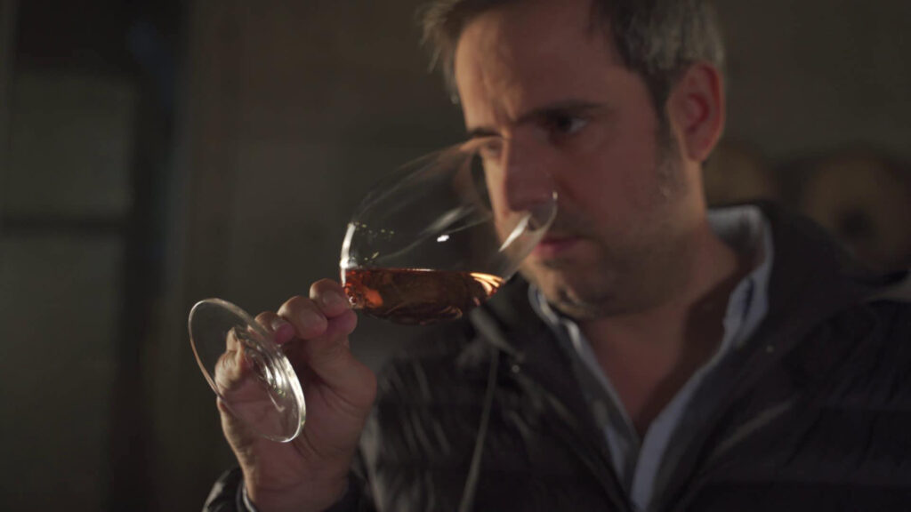 Pedro Ribeiro: “A Rocim está no Alentejo, mas queremos assumirmo-nos como um projeto de várias regiões