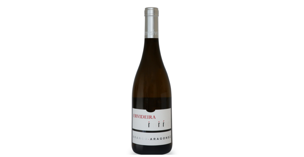 13ª Edição de Invisível: supera os limites