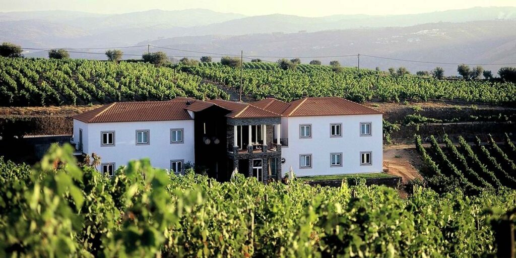 Casa das Pipas cria programas de Verão para usufruir em pleno do Douro
