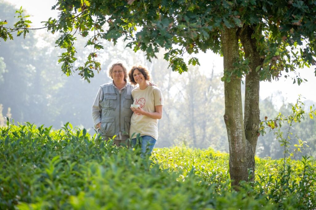 Chá Camélia sugere experiências de inspiração japonesa para a rentrée