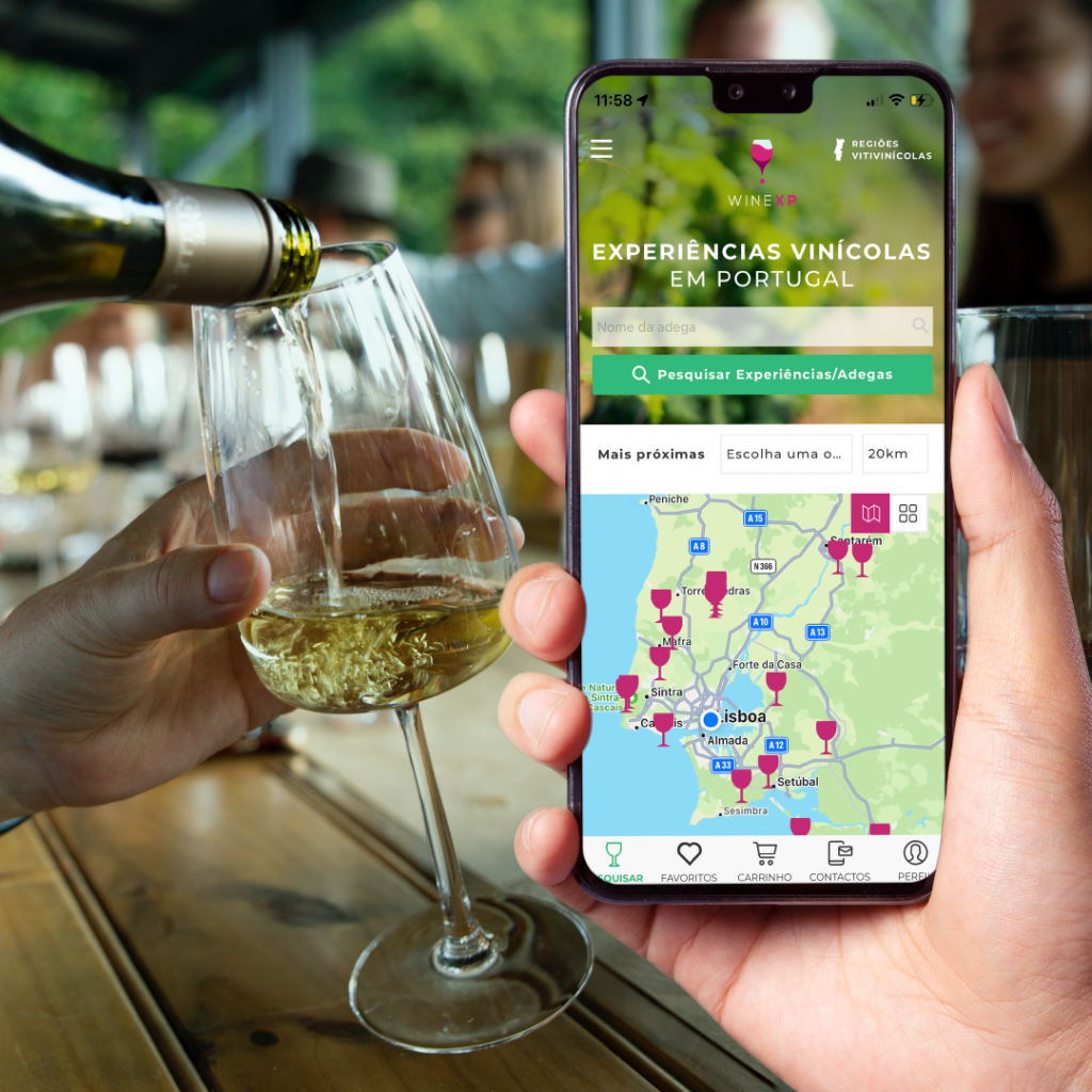 Wine XP: Descobrir a magia das experiências vínicas