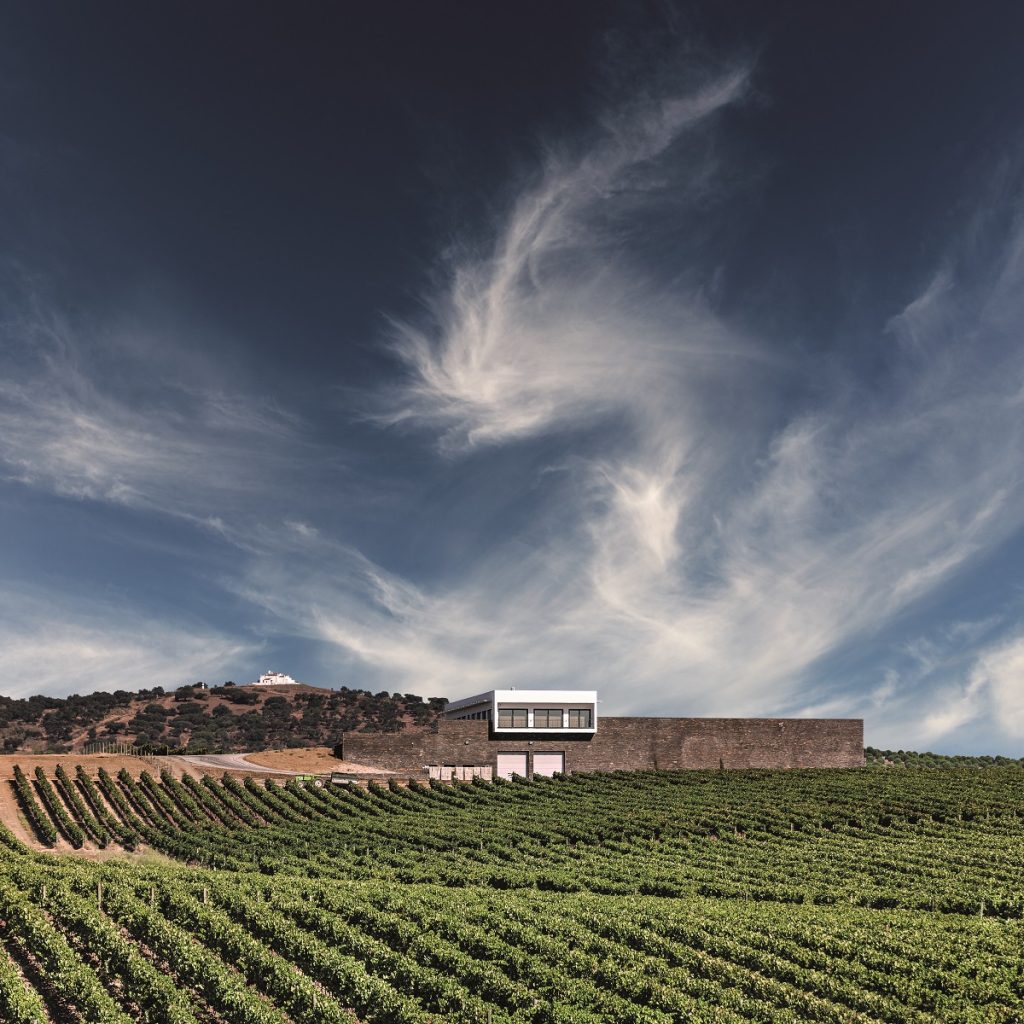 Grupo Terras & Terroir alarga influência no Alentejo com compra da Ribafreixo Wines