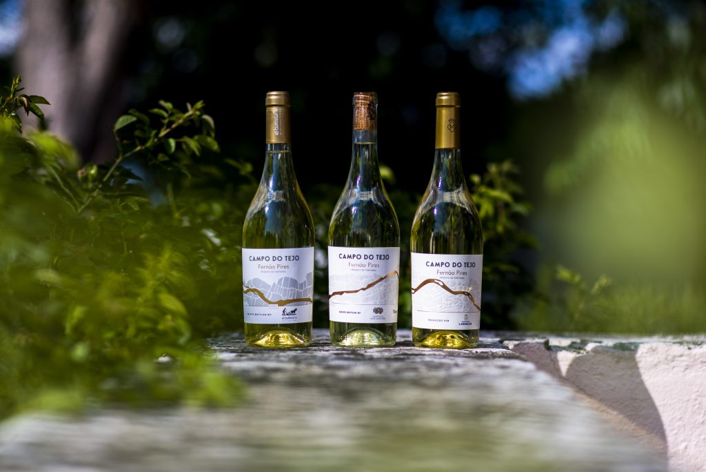 Vinhos do Tejo lançam projeto coletivo para alavancar a casta  Fernão Pires