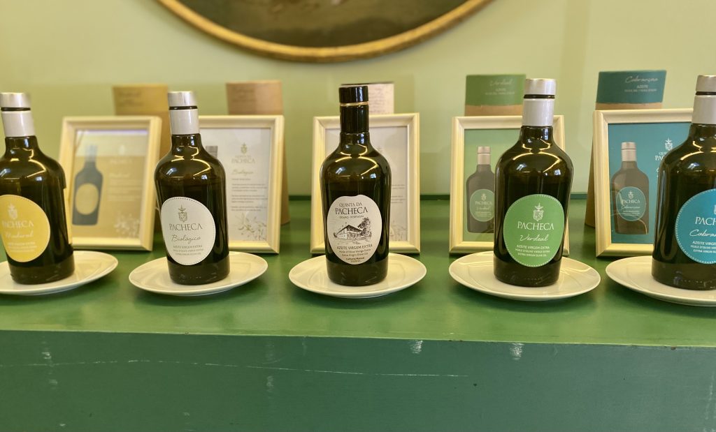 Quinta da Pacheca recebe concurso mundial que premiará os melhores entre mais de 100 azeites em prova