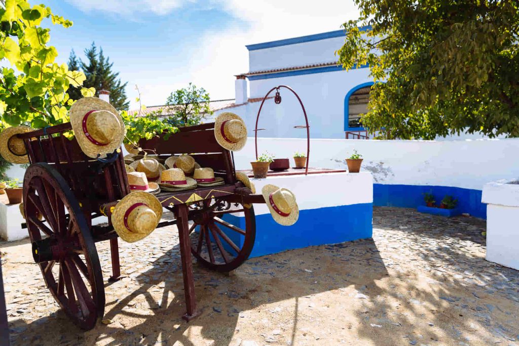 Da vinha ao copo: Adega José de Sousa apresenta programa de vindimas para toda a família