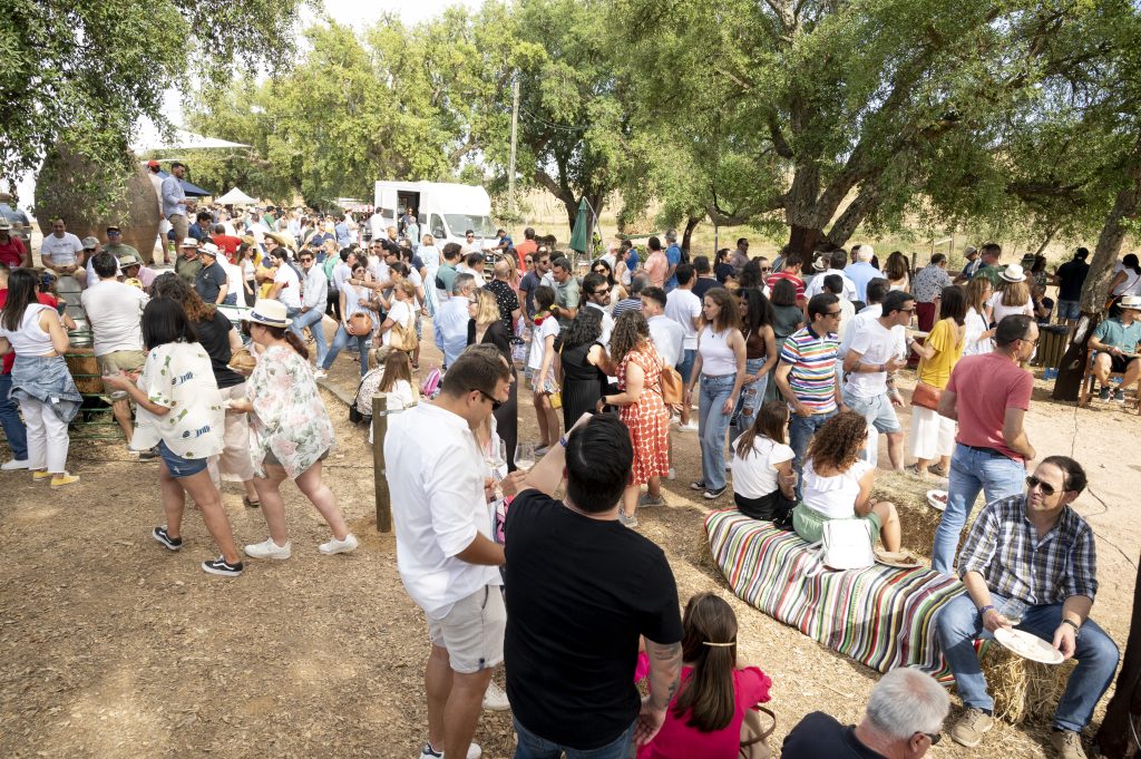 Passar “Um dia em São Miguel” é o convite da Casa Relvas