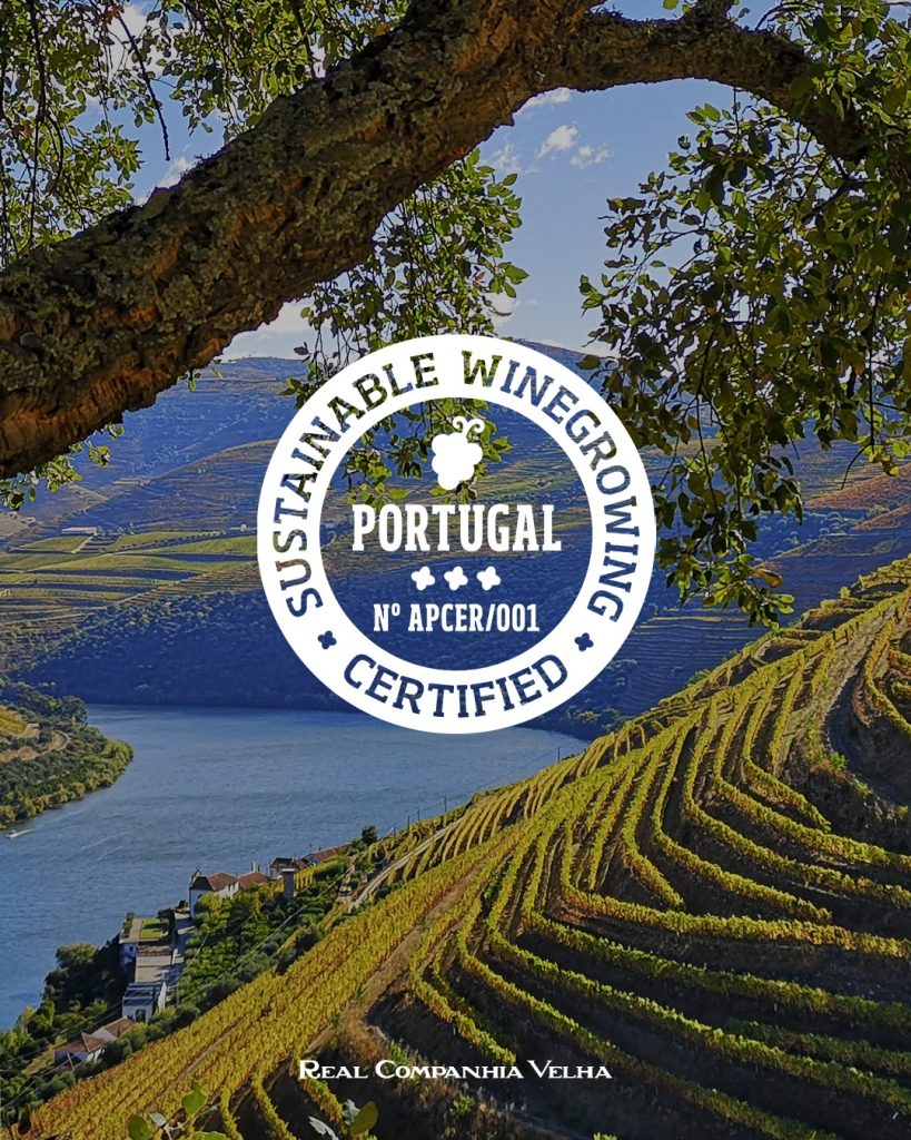 Real Companhia Velha certificada pelo Sustainable Winegrowing Portugal