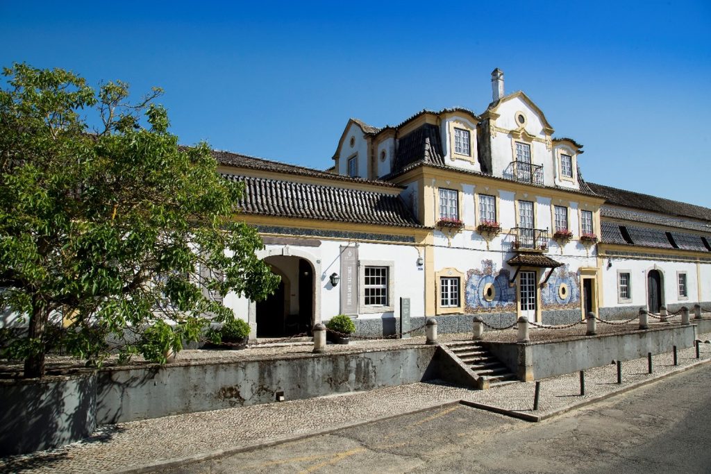 Casa Museu José Maria da Fonseca recebe distinção do Tripadvisor pelo 9.º ano consecutivo