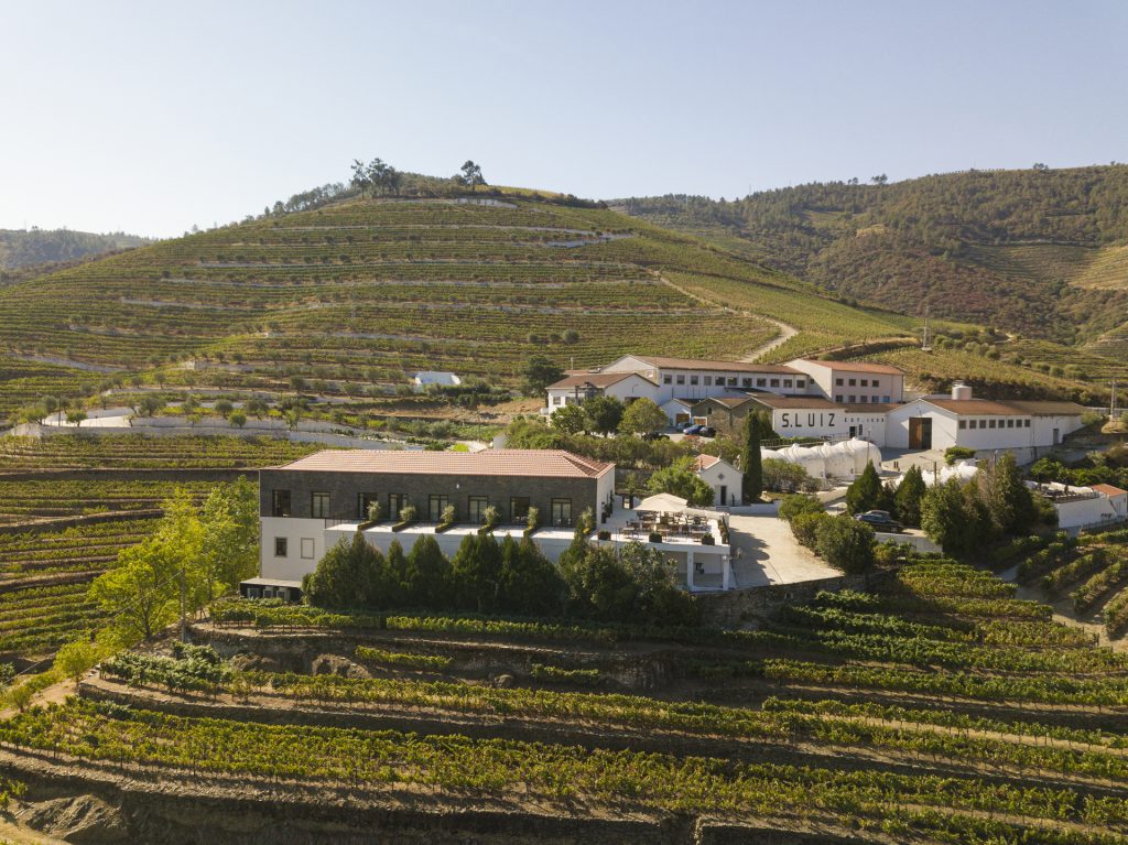 Castanhas assadas, filhós e Vinho do Porto: The Vine House cria happy hour e menu temático de São Martinho