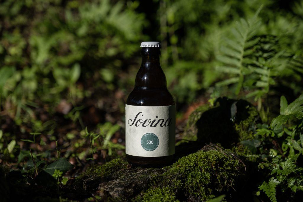 Da vindima de 2023, voltou a nascer uma cerveja com a casta Loureiro