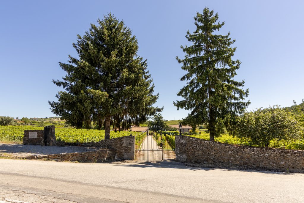 Costa Boal avança com enoturismo em Favaios