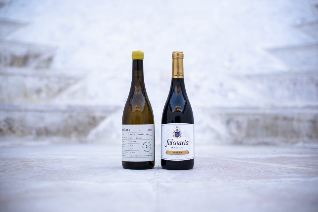 ‘Enóloga branco 2022’ e ‘Falcoaria tinto 2011’ foram os grandes vencedores do Concurso Vinhos do Tejo 2024