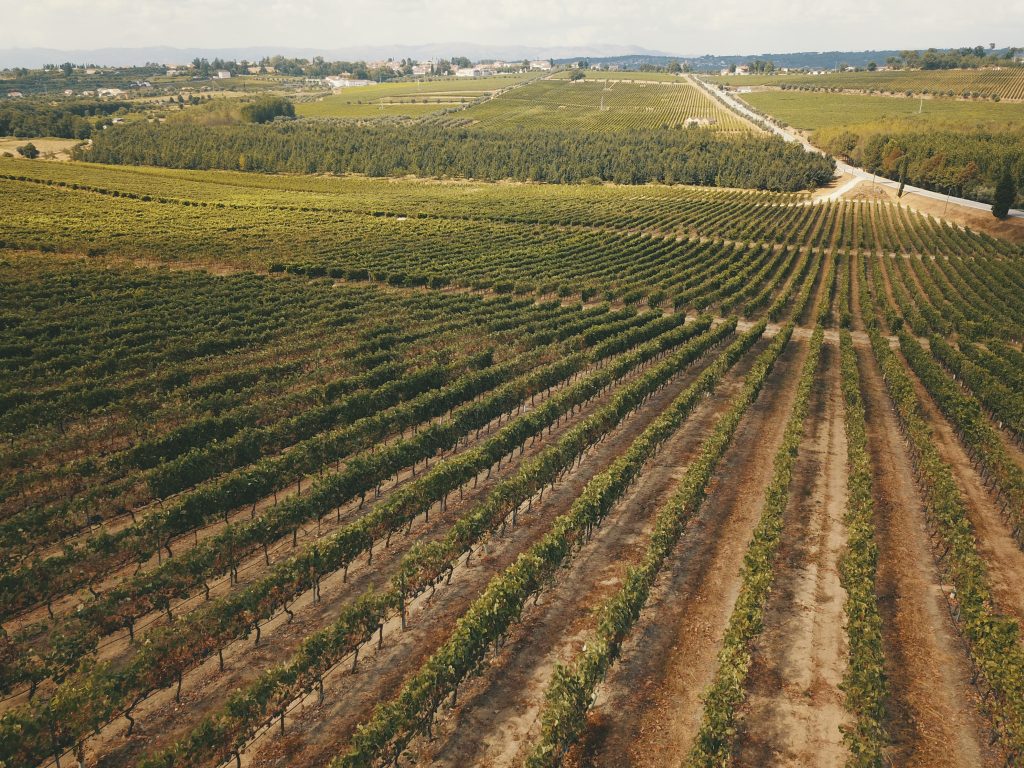 Casa de Santar brilha na gala “Os Melhores Vinhos do Dão”