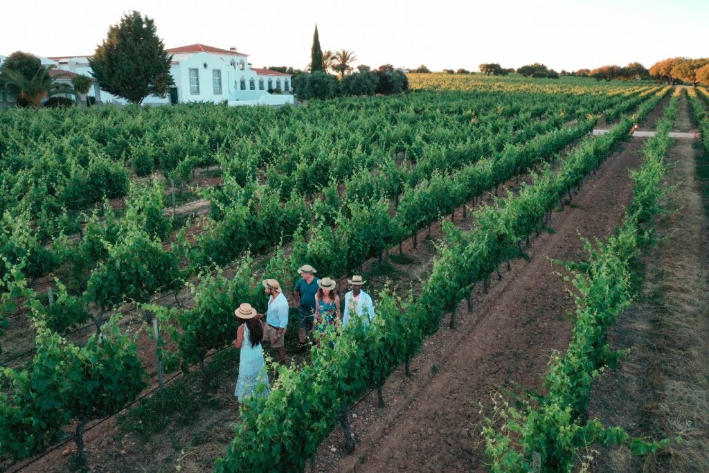 Aproveite as férias de verão para fazer programas divertidos em família no enoturismo da João Portugal Ramos, no Alentejo
