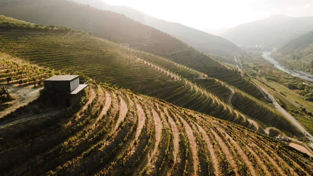 Enoturismo da Quinta da Vacaria vem reforçar oferta de exclusividade no Douro