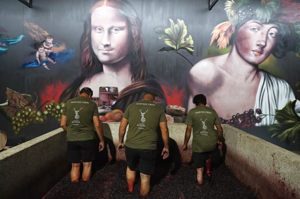 Herdade da Rocha abre as portas para as vindimas em casamento perfeito com a arte