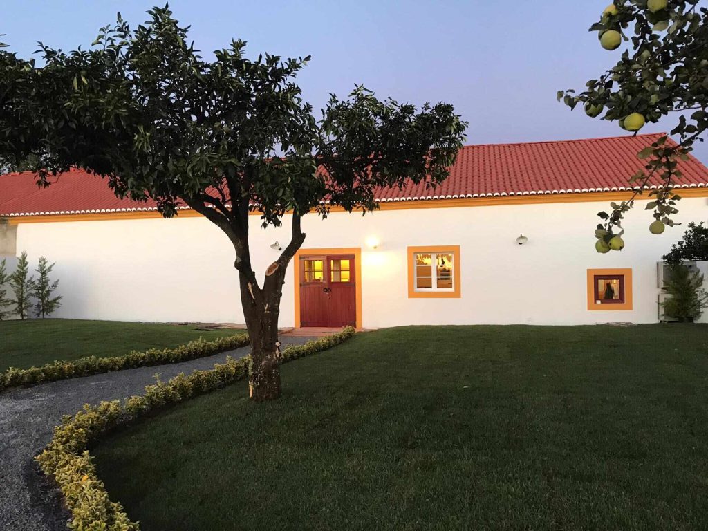 Symington convida a descobrir a tradição da vindima alentejana