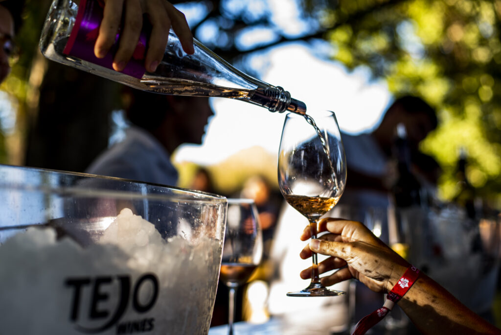 Vinhos do Tejo destacam-se com oito produtores com selo Sustainable Winegrowing Portugal