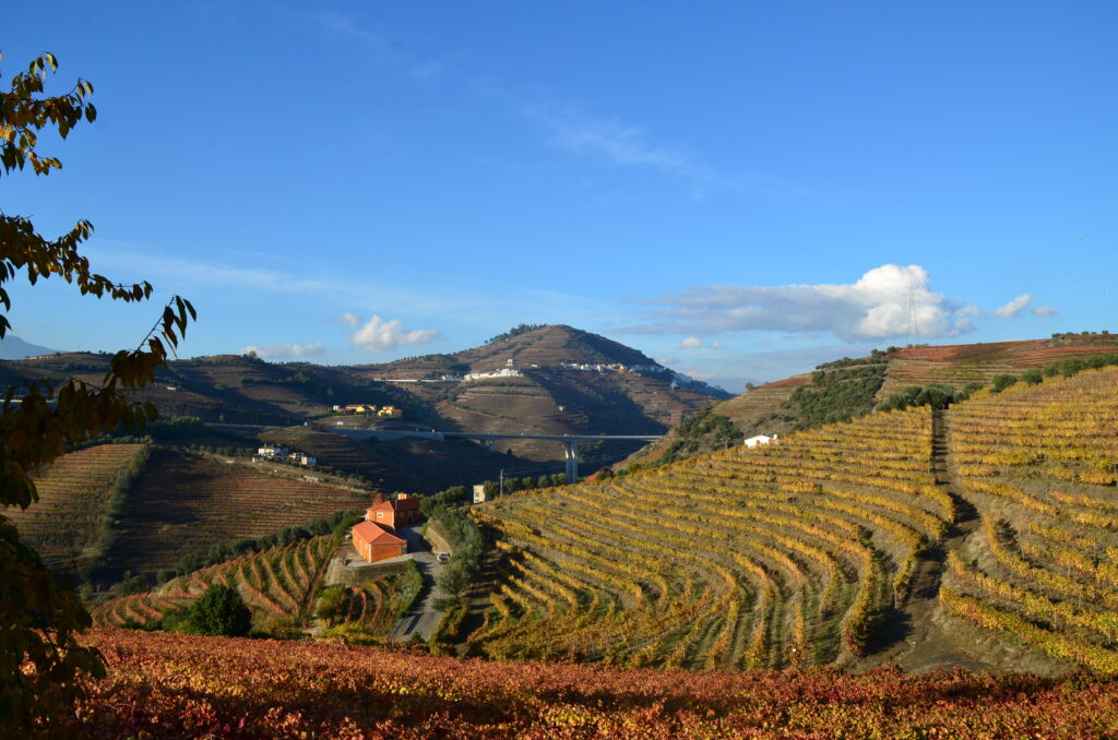 Douro Boys em roteiro inédito: A Viagem do Vinho ao Luxo