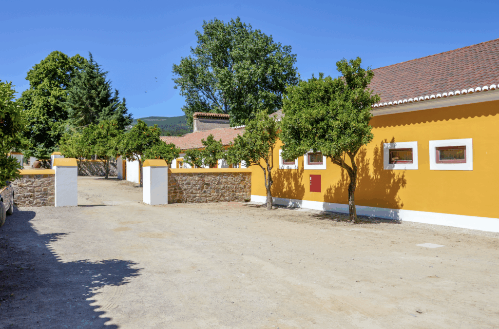 Quinta de Fonte Souto, em Portalegre, promove “Sunset Com Outro Vagar”