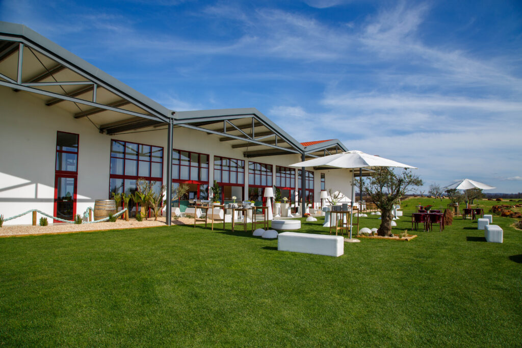 Verão na costa alentejana? Descubra os vinhos de mar do Vicentino Wines