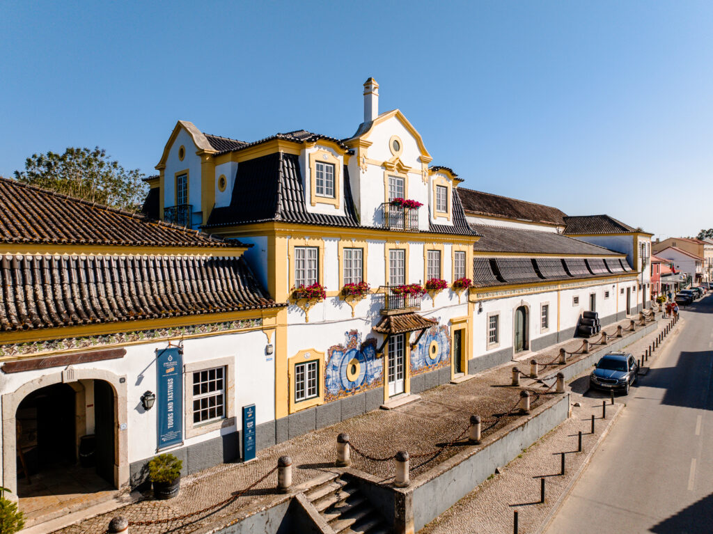Enoturismos da José Maria da Fonseca distinguidos no Travellers’ Choice Awards há mais de uma década