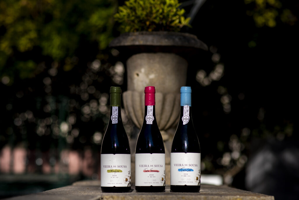 Douro: Vieira de Sousa estreia monocasta de Tinto Cão e completa trilogia de edições limitadas