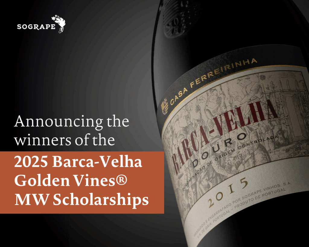SOGRAPE anuncia os vencedores das Bolsas Barca-Velha Golden Vines® MW 2025