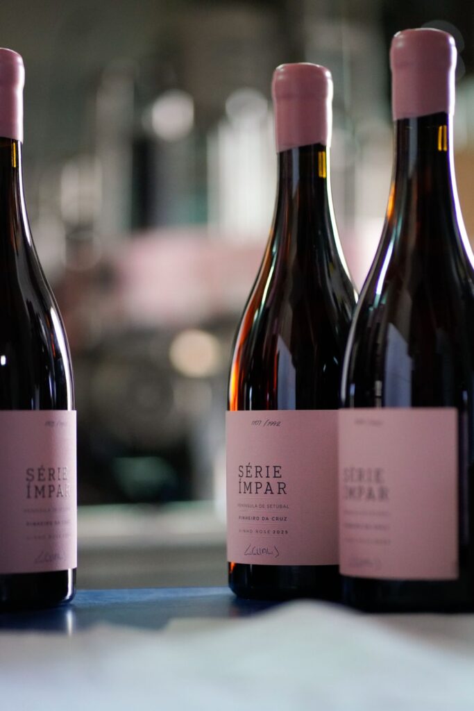 Série Ímpar Pinheiro da Cruz: um vinho raro, nascido onde menos se espera