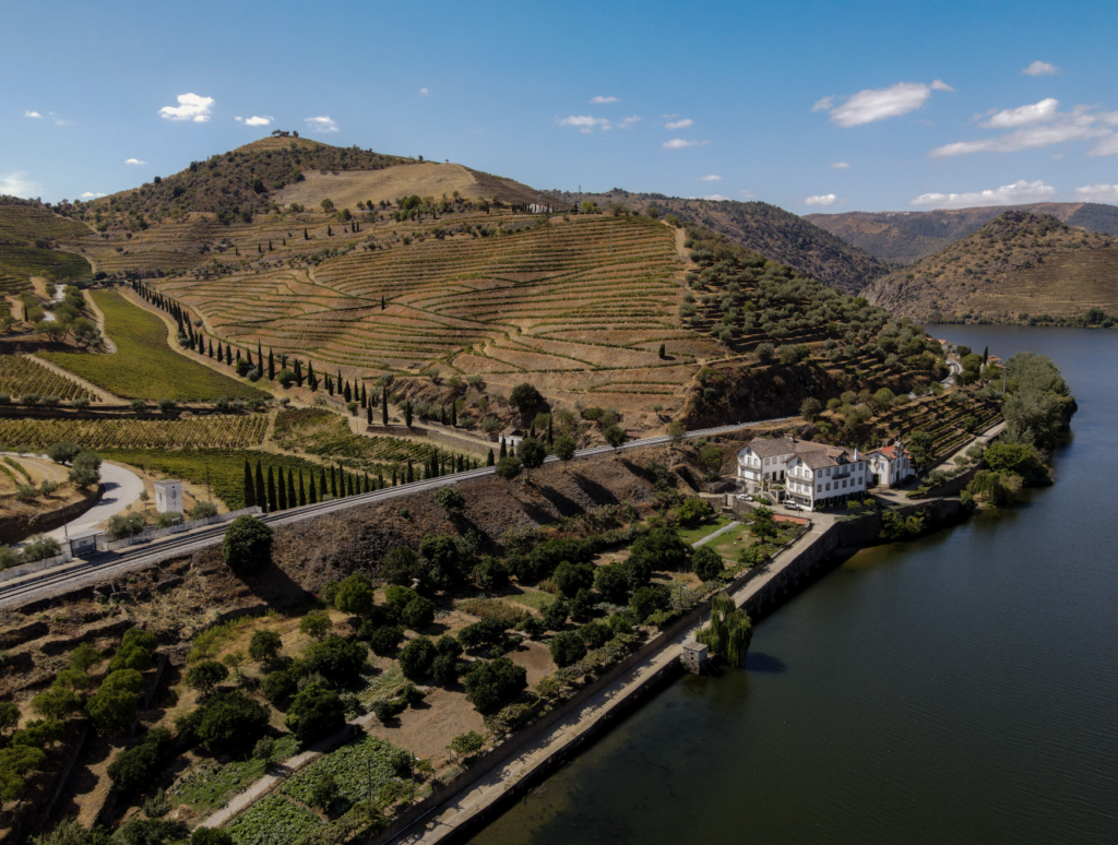 Pombal do Vesúvio 2022 distinguido como “Wine of the Week” por Jancis Robinson