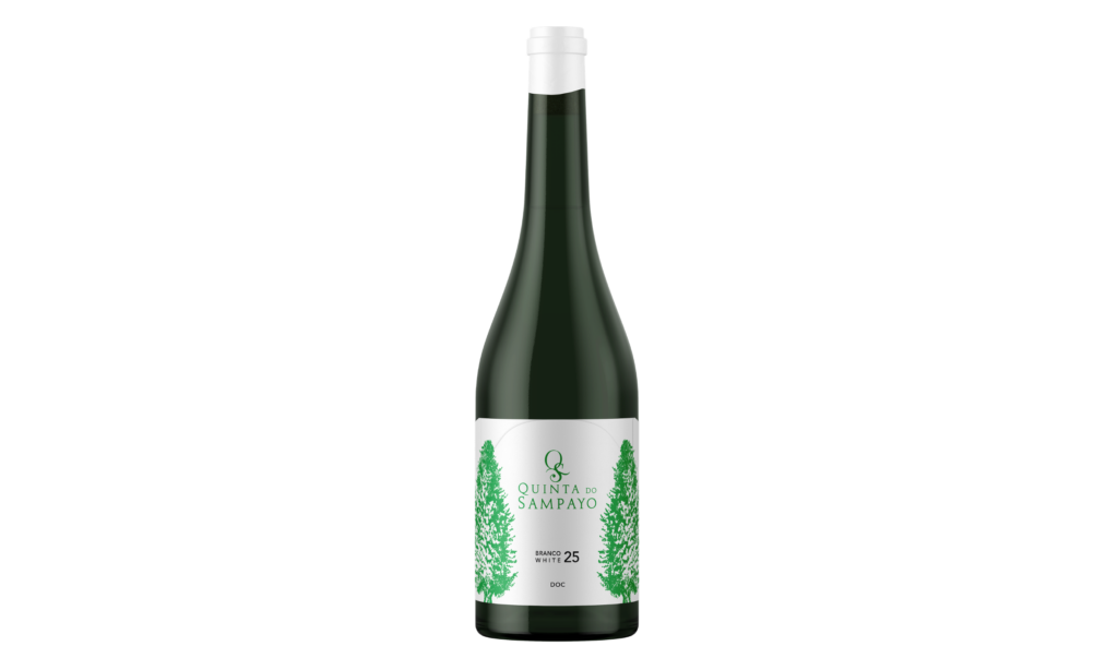 Quinta do Sampayo aposta em ânfora para novo Branco