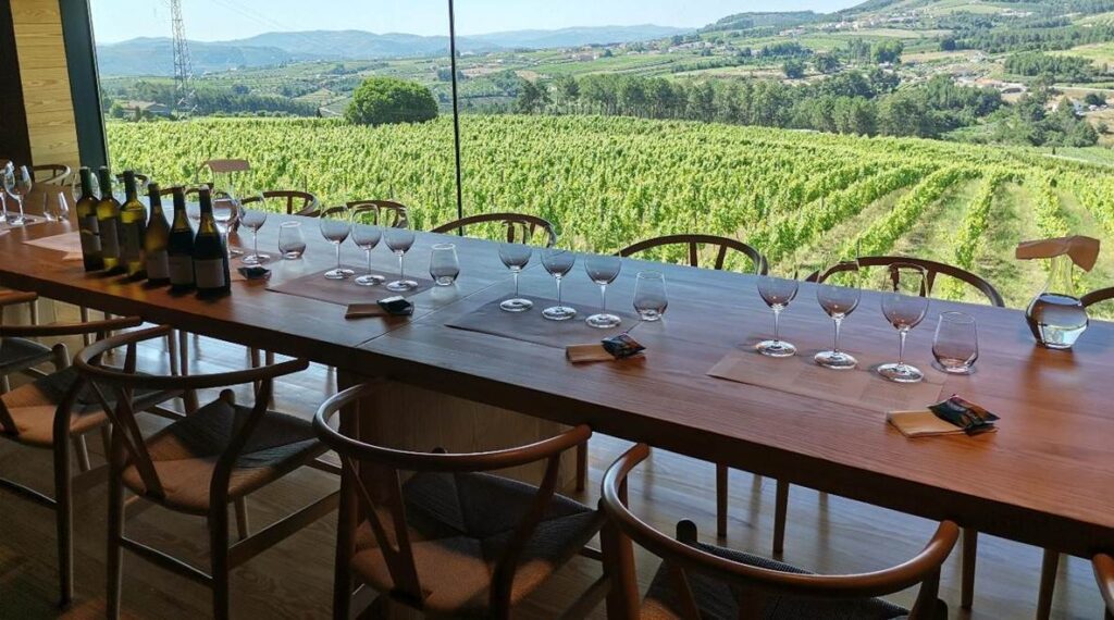 Lavradores de Feitoria convidam a descobrir o Douro através de quem o cultiva há gerações – Dias perfeitos de verão